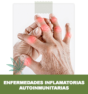 Enfermedades inflamatorias autoinmunitarias