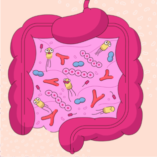 Microbiota intestinal: Clave de tu salud general