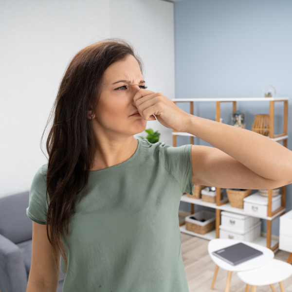 Mal olor en tu hogar: 7 trucos caseros para eliminarlo de raíz