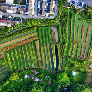 ¿Por qué debería importarte cómo se construyen las casas, edificios y ciudades?
