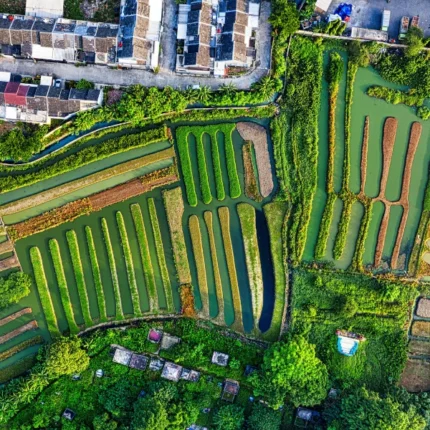 ¿Por qué debería importarte cómo se construyen las casas, edificios y ciudades?