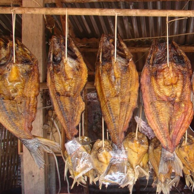 El pescado seco podría ser un superalimento, según especialistas